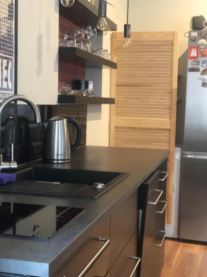 Apartament Srodmiescie 1 Sypialnia Oraz 1 Salon Wałbrzych Εξωτερικό φωτογραφία